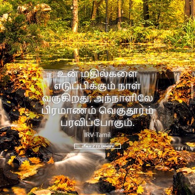 Picture 05 - மீகா 7:11 TAMIRV - உன் மதில்களை - Bible Verse Picture