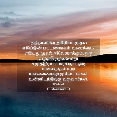 Picture 05 - மீகா 7:12 TAMIRV - அந்நாளிலே அசீரியா - Bible Verse Picture