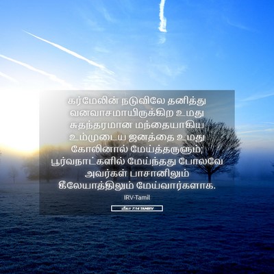 Picture 05 - மீகா 7:14 TAMIRV - கர்மேலின் நடுவிலே - Bible Verse Picture