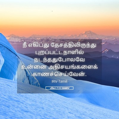 Picture 05 - மீகா 7:15 TAMIRV - நீ எகிப்து - Bible Verse Picture