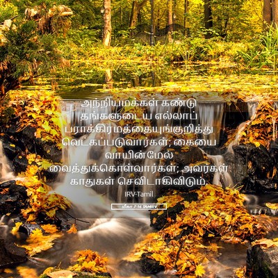 Picture 05 - மீகா 7:16 TAMIRV - அந்நியமக்கள் - Bible Verse Picture