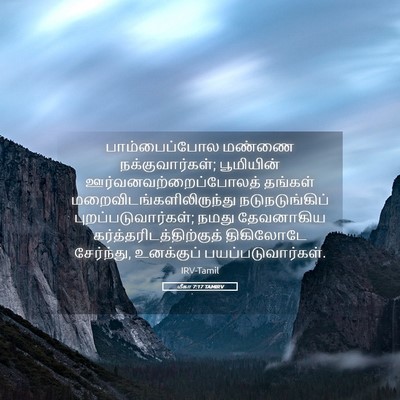 Picture 05 - மீகா 7:17 TAMIRV - பாம்பைப்போல மண்ணை - Bible Verse Picture