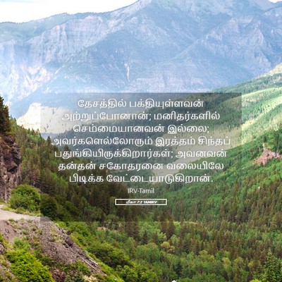 Picture 05 - மீகா 7:2 TAMIRV - தேசத்தில் - Bible Verse Picture