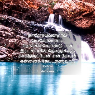 Picture 05 - மீகா 7:7 TAMIRV - நானோவென்றால் - Bible Verse Picture