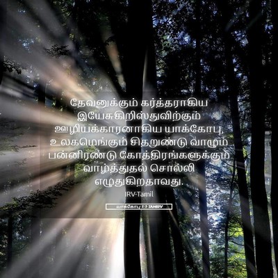 Picture 05 - யாக்கோபு 1:1 TAMIRV - தேவனுக்கும் - Bible Verse Picture