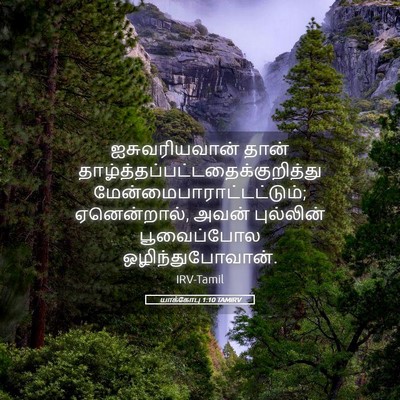 Picture 05 - யாக்கோபு 1:10 TAMIRV - ஐசுவரியவான் தான் - Bible Verse Picture