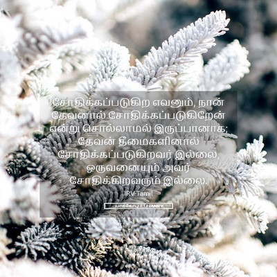 Picture 05 - யாக்கோபு 1:13 TAMIRV - சோதிக்கப்படுகிற - Bible Verse Picture