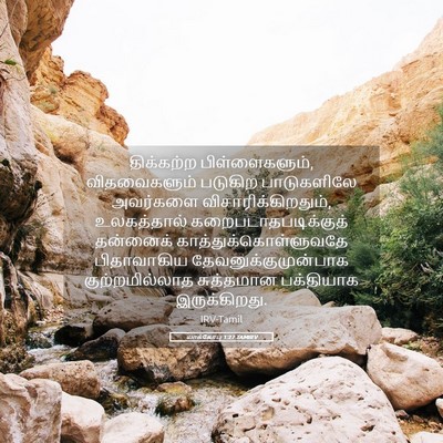 Picture 05 - யாக்கோபு 1:27 TAMIRV - திக்கற்ற - Bible Verse Picture
