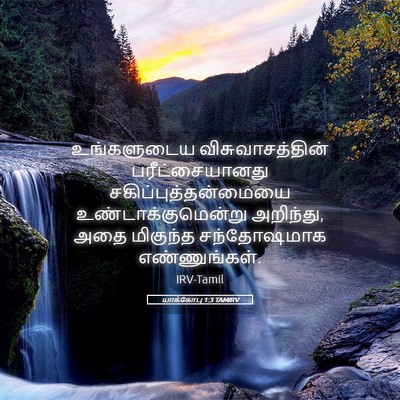 Picture 05 - யாக்கோபு 1:3 TAMIRV - உங்களுடைய - Bible Verse Picture