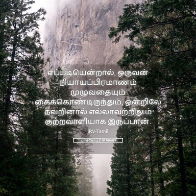 Picture 05 - யாக்கோபு 2:10 TAMIRV - எப்படியென்றால், - Bible Verse Picture