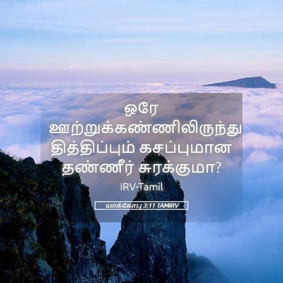 Picture 05 - யாக்கோபு 3:11 TAMIRV - ஒரே - Bible Verse Picture