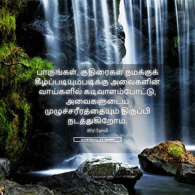 Picture 05 - யாக்கோபு 3:3 TAMIRV - பாருங்கள், - Bible Verse Picture