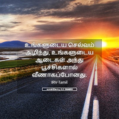 Picture 05 - யாக்கோபு 5:2 TAMIRV - உங்களுடைய செல்வம் - Bible Verse Picture