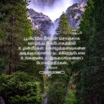 Picture 05 - யாக்கோபு 5:5 TAMIRV - பூமியிலே நீங்கள் - Bible Verse Picture