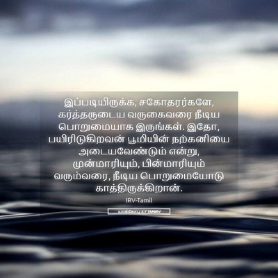 Picture 05 - யாக்கோபு 5:7 TAMIRV - இப்படியிருக்க, - Bible Verse Picture
