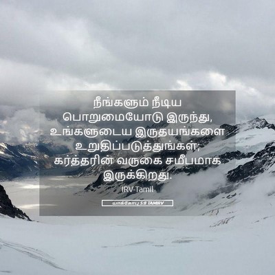 Picture 05 - யாக்கோபு 5:8 TAMIRV - நீங்களும் நீடிய - Bible Verse Picture