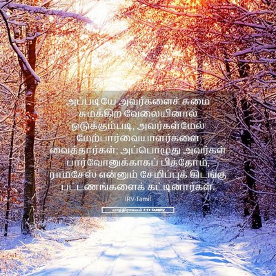 Picture 05 - யாத்திராகமம் 1:11 TAMIRV - அப்படியே - Bible Verse Picture