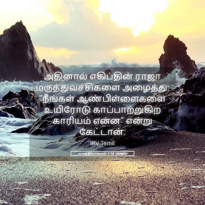 Picture 05 - யாத்திராகமம் 1:18 TAMIRV - அதினால் எகிப்தின் - Bible Verse Picture