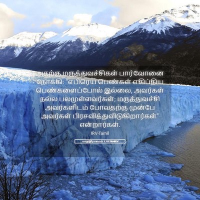 Picture 05 - யாத்திராகமம் 1:19 TAMIRV - அதற்கு - Bible Verse Picture