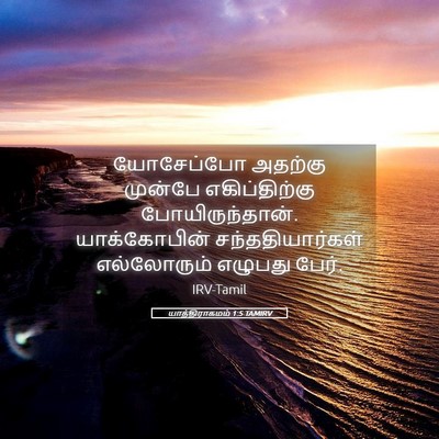 Picture 05 - யாத்திராகமம் 1:5 TAMIRV - யோசேப்போ அதற்கு - Bible Verse Picture