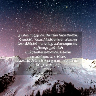 Picture 05 - யாத்திராகமம் 10:12 TAMIRV - அப்பொழுது யெகோவா - Bible Verse Picture