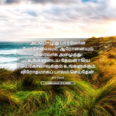 Picture 05 - யாத்திராகமம் 10:16 TAMIRV - அப்பொழுது - Bible Verse Picture