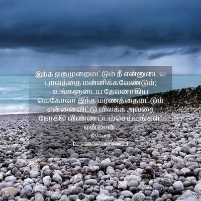 Picture 05 - யாத்திராகமம் 10:17 TAMIRV - இந்த - Bible Verse Picture