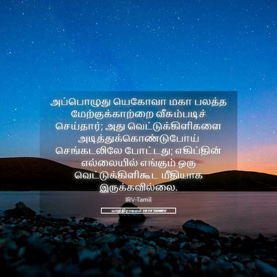 Picture 05 - யாத்திராகமம் 10:19 TAMIRV - அப்பொழுது யெகோவா - Bible Verse Picture