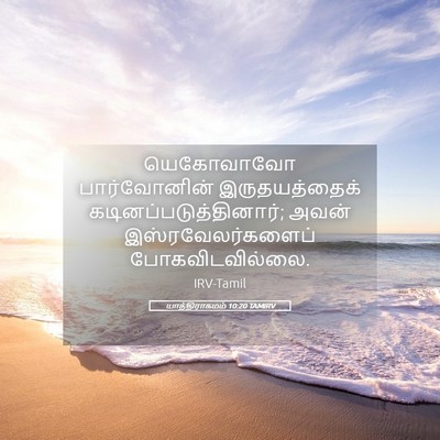 Picture 05 - யாத்திராகமம் 10:20 TAMIRV - யெகோவாவோ - Bible Verse Picture
