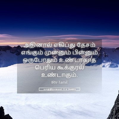 Picture 05 - யாத்திராகமம் 11:6 TAMIRV - அதினால் எகிப்து - Bible Verse Picture