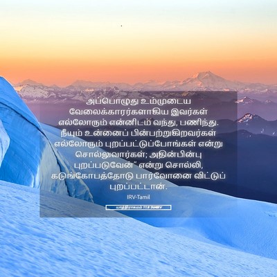Picture 05 - யாத்திராகமம் 11:8 TAMIRV - அப்பொழுது - Bible Verse Picture