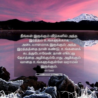 Picture 05 - யாத்திராகமம் 12:13 TAMIRV - நீங்கள் இருக்கும் - Bible Verse Picture