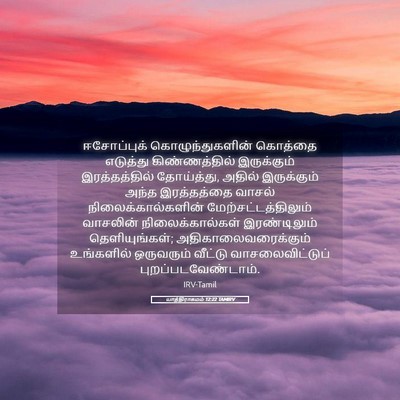 Picture 05 - யாத்திராகமம் 12:22 TAMIRV - ஈசோப்புக் - Bible Verse Picture