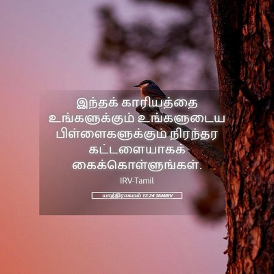 Picture 05 - யாத்திராகமம் 12:24 TAMIRV - இந்தக் காரியத்தை - Bible Verse Picture
