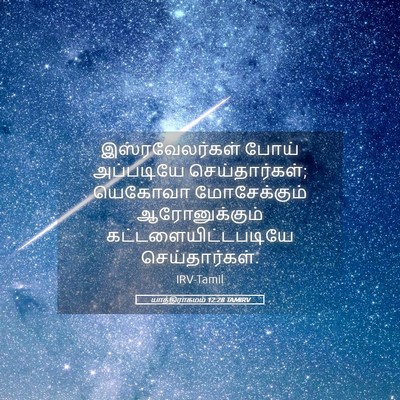 Picture 05 - யாத்திராகமம் 12:28 TAMIRV - இஸ்ரவேலர்கள் போய் - Bible Verse Picture