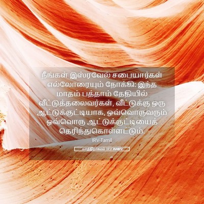 Picture 05 - யாத்திராகமம் 12:3 TAMIRV - நீங்கள் இஸ்ரவேல் - Bible Verse Picture
