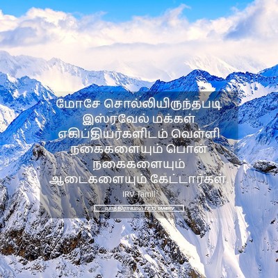 Picture 05 - யாத்திராகமம் 12:35 TAMIRV - மோசே - Bible Verse Picture