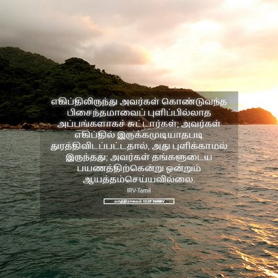 Picture 05 - யாத்திராகமம் 12:39 TAMIRV - எகிப்திலிருந்து - Bible Verse Picture