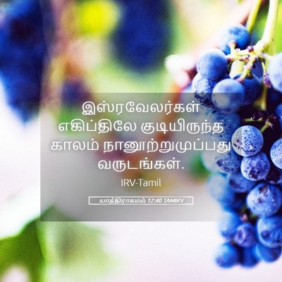 Picture 05 - யாத்திராகமம் 12:40 TAMIRV - இஸ்ரவேலர்கள் - Bible Verse Picture