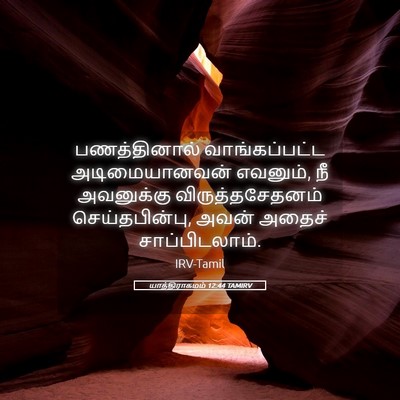 Picture 05 - யாத்திராகமம் 12:44 TAMIRV - பணத்தினால் - Bible Verse Picture
