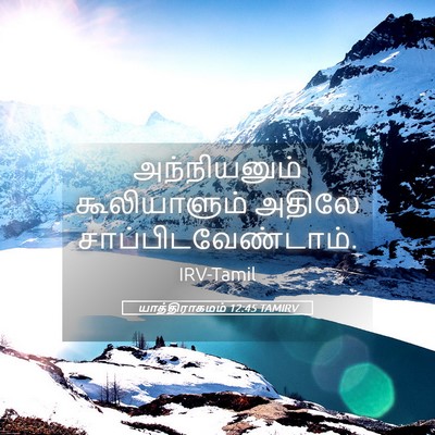 Picture 05 - யாத்திராகமம் 12:45 TAMIRV - அந்நியனும் - Bible Verse Picture