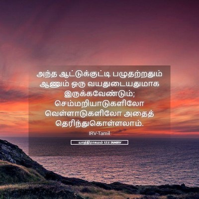 Picture 05 - யாத்திராகமம் 12:5 TAMIRV - அந்த - Bible Verse Picture