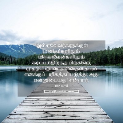 Picture 05 - யாத்திராகமம் 13:2 TAMIRV -  - Bible Verse Picture