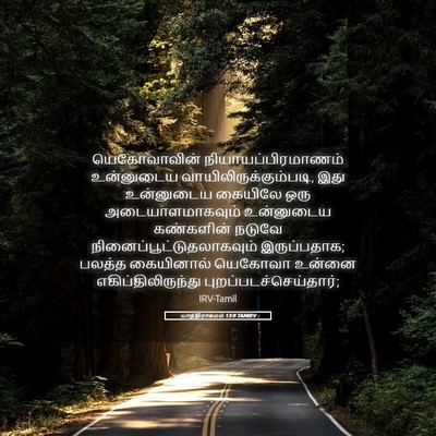 Picture 05 - யாத்திராகமம் 13:9 TAMIRV - யெகோவாவின் - Bible Verse Picture