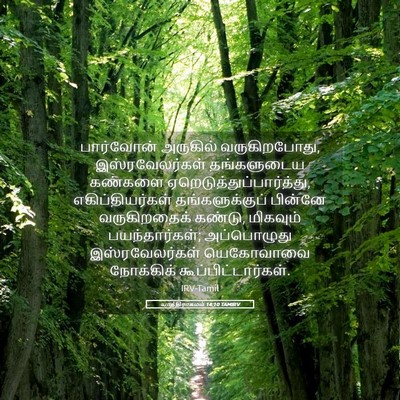 Picture 05 - யாத்திராகமம் 14:10 TAMIRV - பார்வோன் அருகில் - Bible Verse Picture