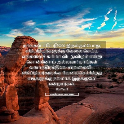 Picture 05 - யாத்திராகமம் 14:12 TAMIRV - நாங்கள் எகிப்திலே - Bible Verse Picture