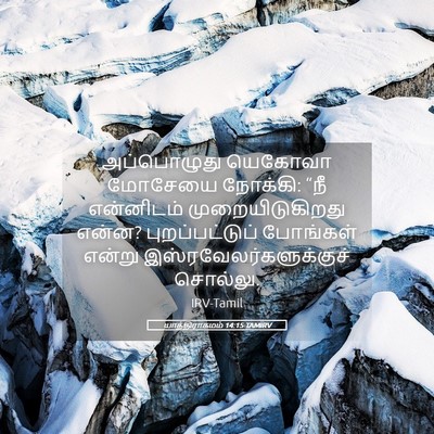 Picture 05 - யாத்திராகமம் 14:15 TAMIRV - அப்பொழுது யெகோவா - Bible Verse Picture