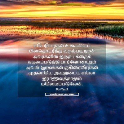 Picture 05 - யாத்திராகமம் 14:17 TAMIRV - எகிப்தியர்கள் - Bible Verse Picture