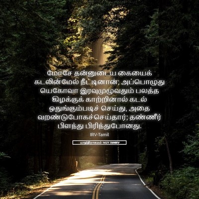 Picture 05 - யாத்திராகமம் 14:21 TAMIRV - மோசே தன்னுடைய - Bible Verse Picture