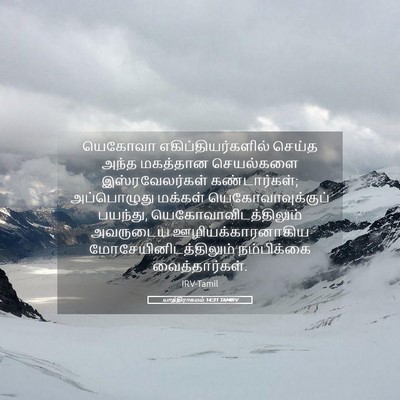 Picture 05 - யாத்திராகமம் 14:31 TAMIRV - யெகோவா - Bible Verse Picture